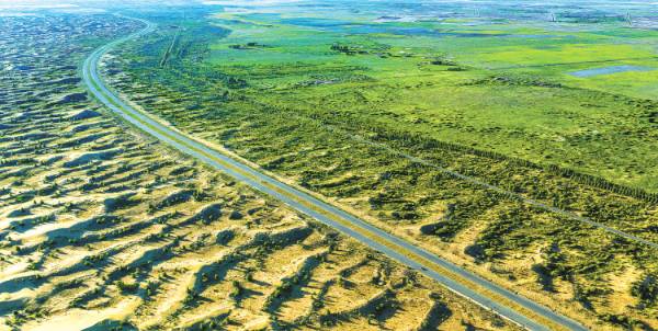 1750054447728508.jpg 1 (1).jpg