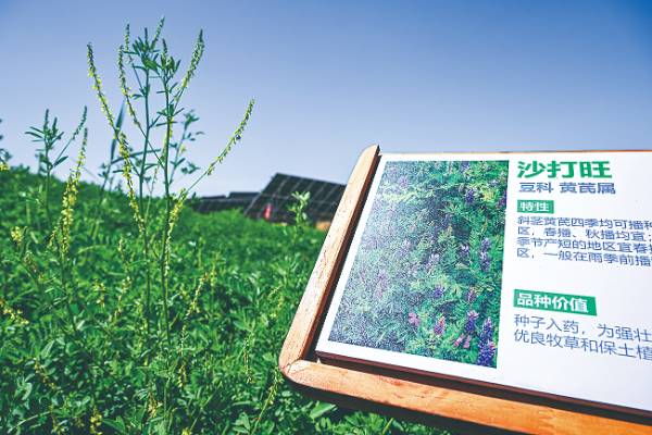 1750054757896821.jpg 2.jpg