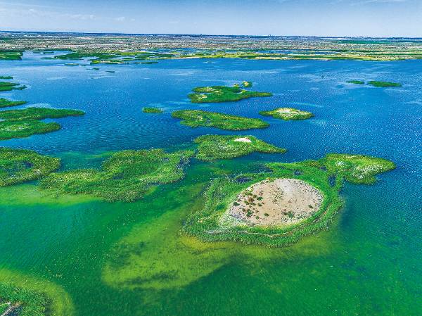 1750054796663646.jpg 4.jpg