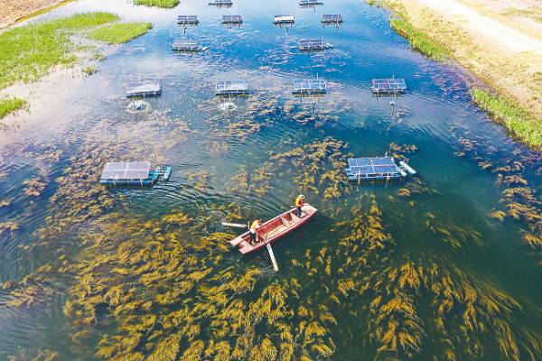 1750054816463871.jpg 7.jpg