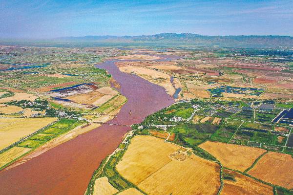 1750054827374491.jpg 9.jpg