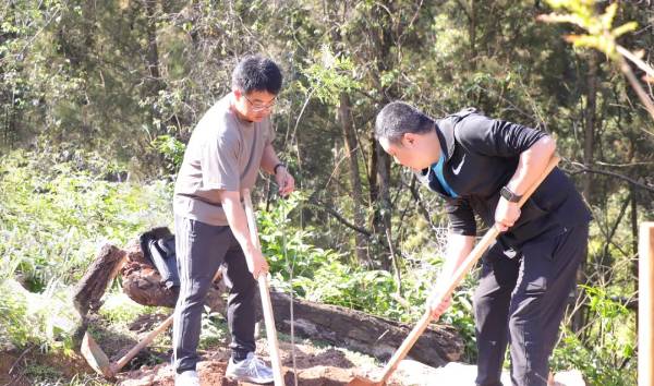 1750055095970580.jpg 1 (1).jpg