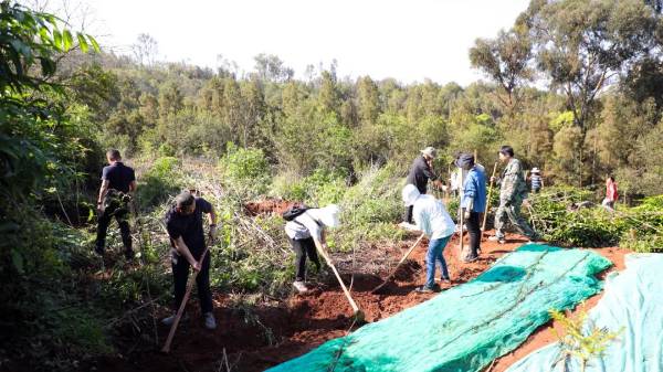 1750055104947674.jpg 2 (1).jpg