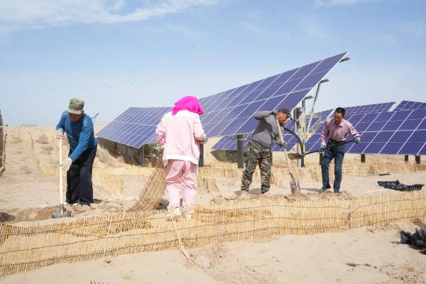 1750056120492399.jpg 5 (1).jpg