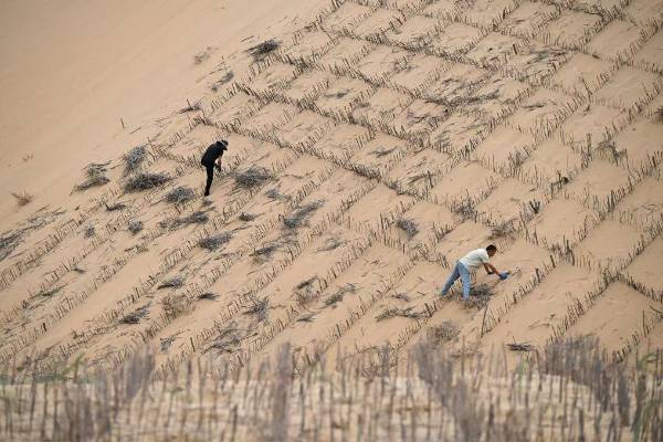 1750056127883055.jpg 6 (1).jpg