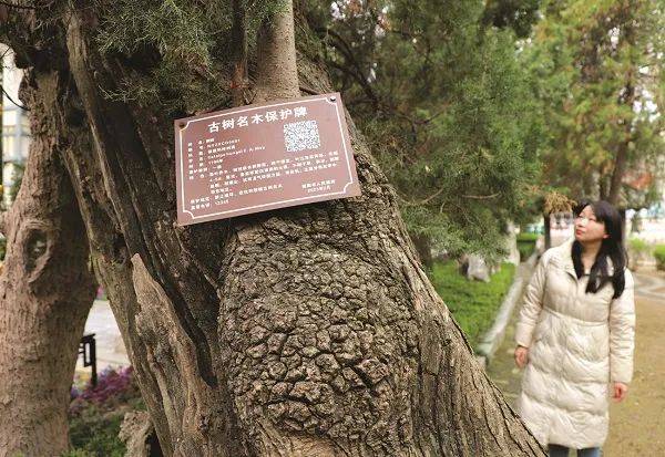 1750056342208950.jpg 1 (1).jpg