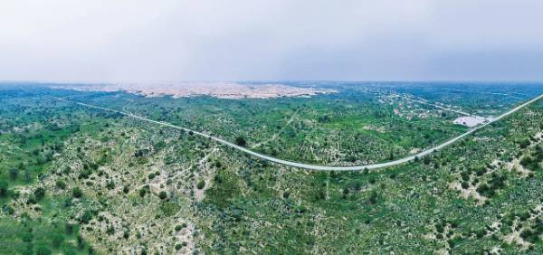 1750057105741483.jpg 3 (1).jpg