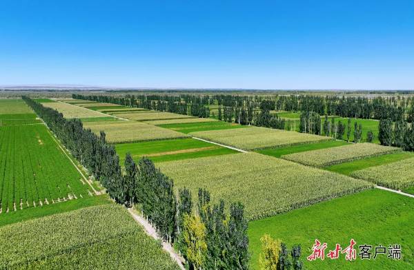 1750057268723017.jpg 4 (1).jpg