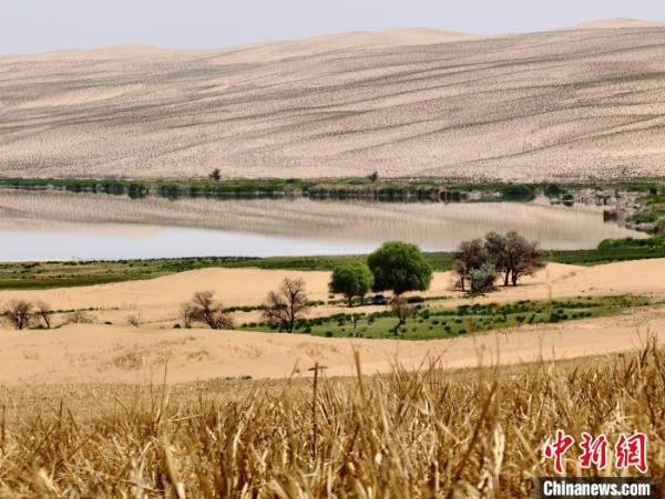 1750137691990841.jpg 1 (1).jpg