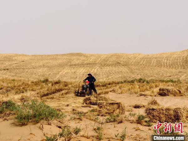 1750137702424642.jpg 2 (1).jpg