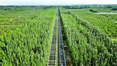 1750142533424272.jpg 2.jpg