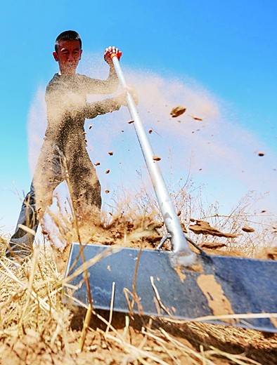 1750142540926839.jpg 3.jpg