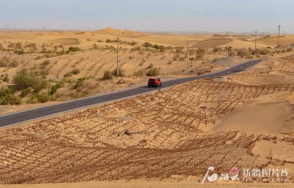 1750142836739967.jpg 1 (1).jpg