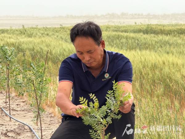 1750142857268598.jpg 2 (1).jpg