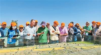 1750143268461030.jpg 4 (1).jpg