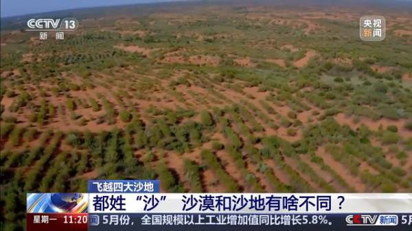 1750143470278153.jpg 8 (1).jpg