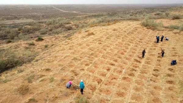 1750144296221791.jpg 1 (1).jpg