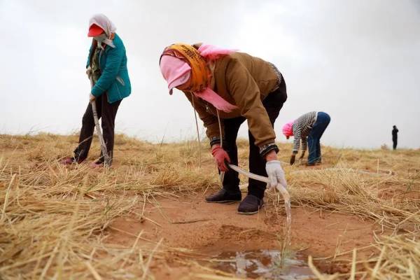 1750144306563356.jpg 2 (1).jpg