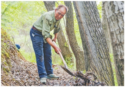 1750144539508954.jpg 1.jpg