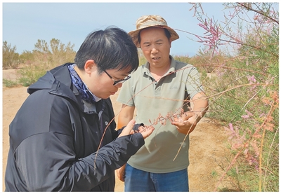 1750144558769624.jpg 3.jpg