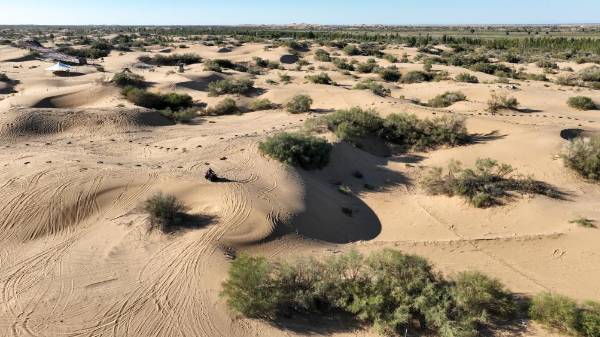 1750144789470723.jpg 5 (1).jpg