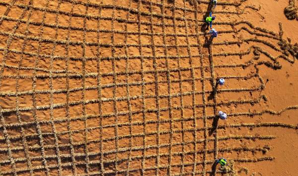 1750144822472167.jpg 6 (1).jpg