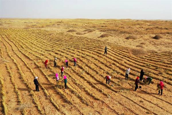 1750145227239072.jpg 2.jpg