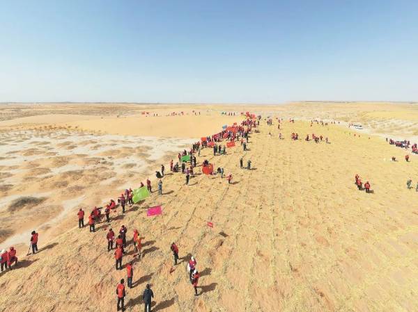 1750145265943346.jpg 6.jpg