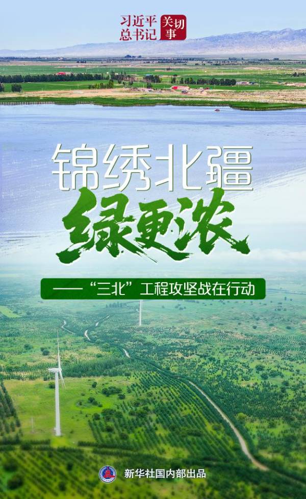 1750145647590908.jpg 7.jpg