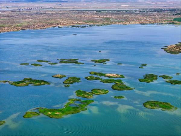 1750145679370411.jpg 9.jpg