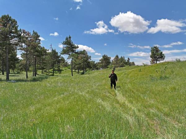 1750145705134913.jpg 11.jpg