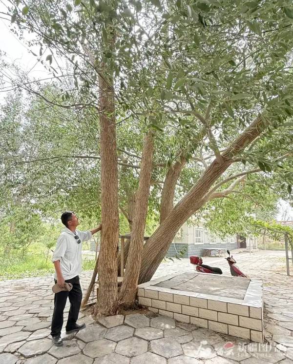 1750150713957654.jpg a (1).jpg