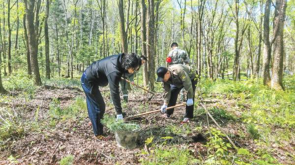 1750214067785669.jpg 1.jpg