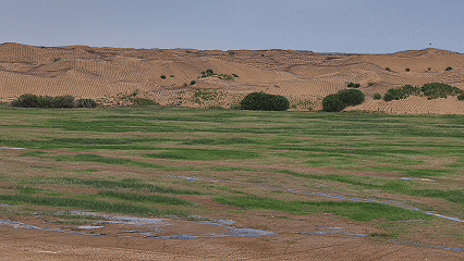 1750214220737829.gif 5.gif