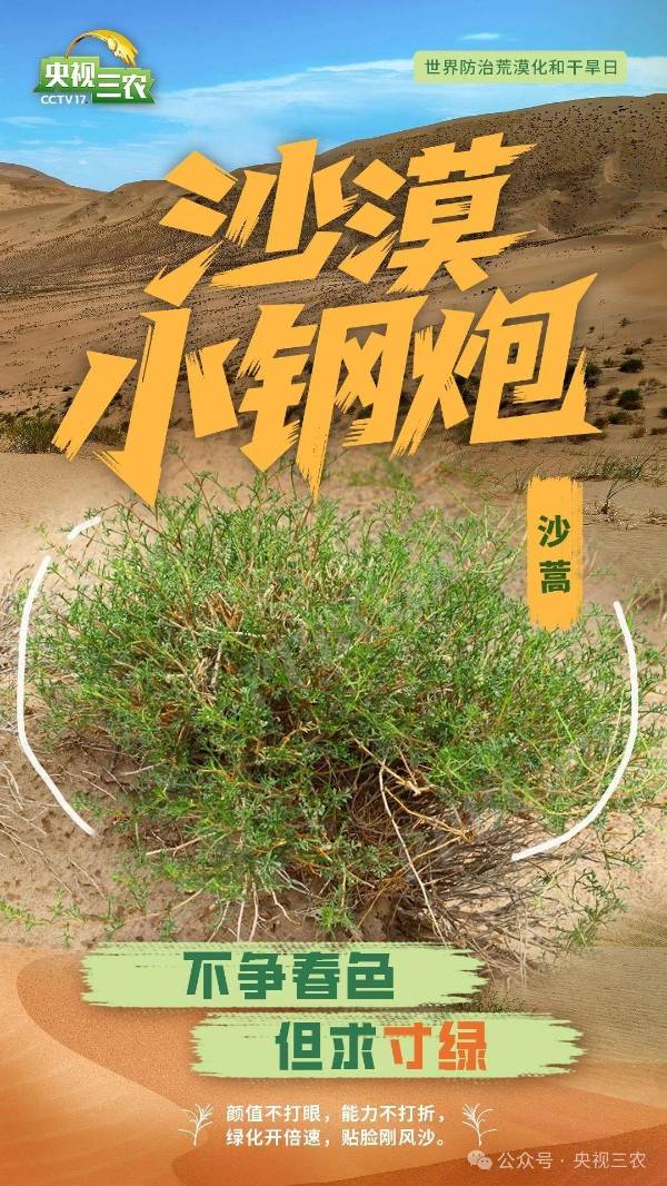 1750214667855868.jpg 15.jpg