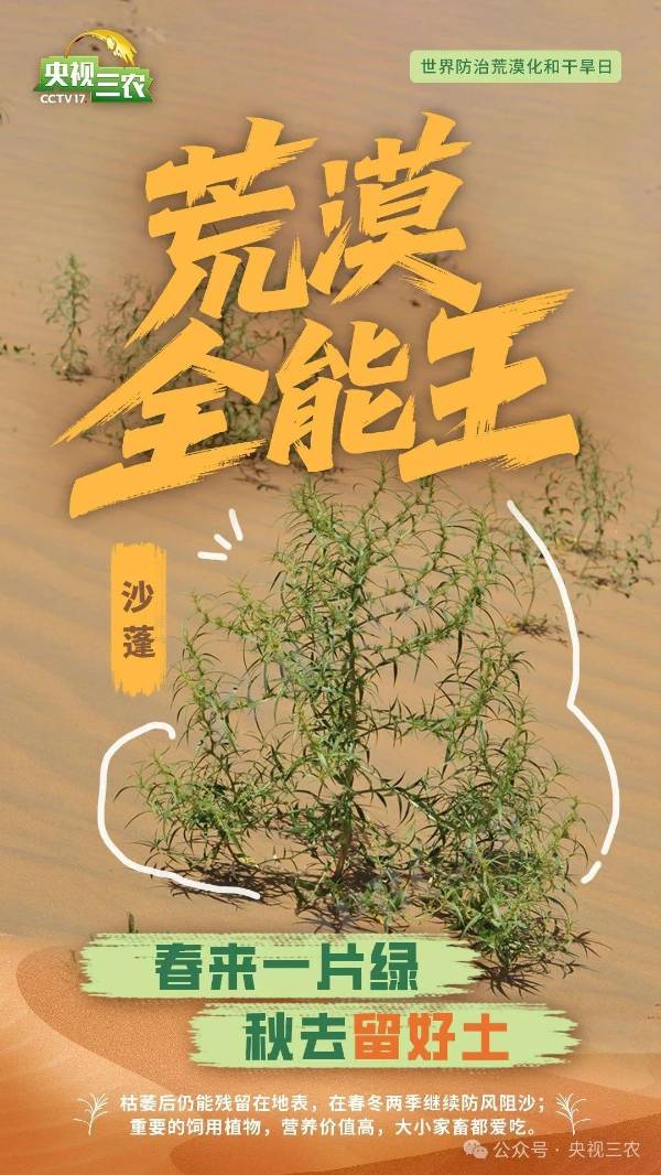 1750214671732334.jpg 16.jpg