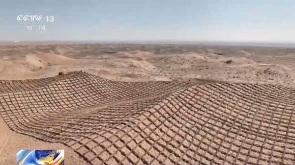 1750215396908032.jpg 19.jpg