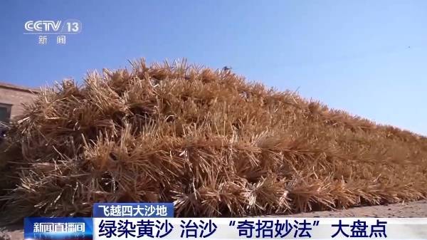 1750215412515635.jpg 21.jpg