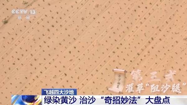 1750215424499271.jpg 22.jpg