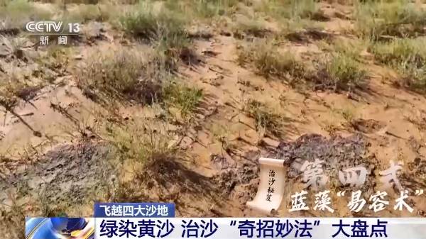 1750215434155543.jpg 23.jpg