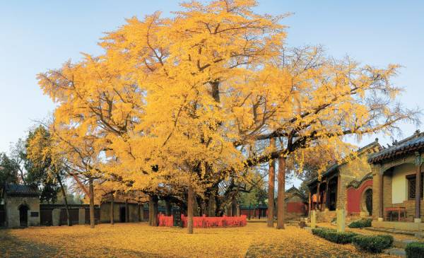 1750216022654997.jpg 32.jpg