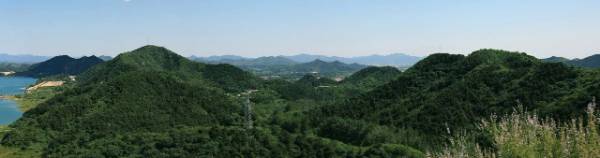 1750216476608497.jpg 1.jpg