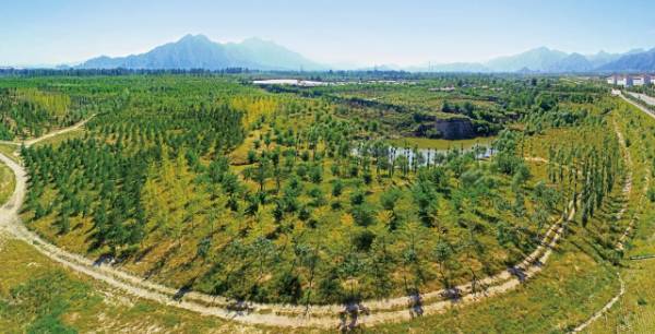 1750216496728960.jpg 3.jpg