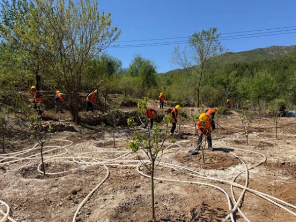 1750216548973964.jpg 6.jpg