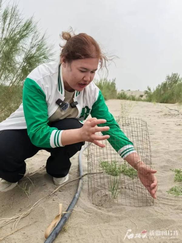 1750216760262922.jpg 1 (1).jpg