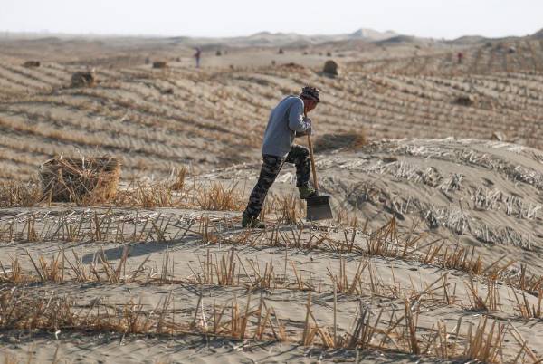 1750217573641932.jpg 2.jpg