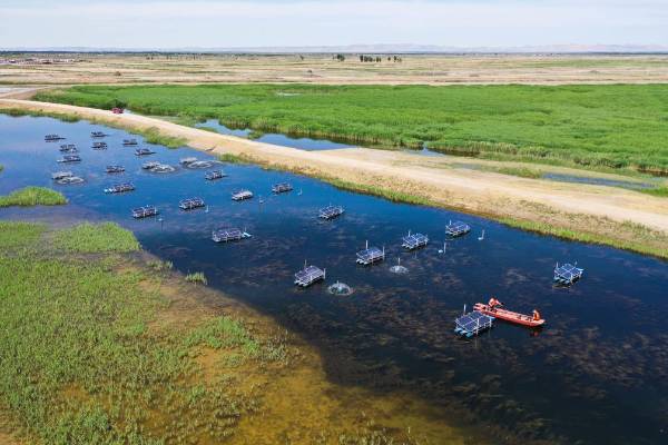 1750217595412050.jpg 3.jpg