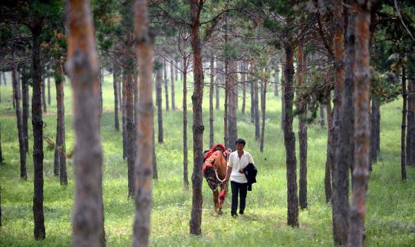 1750217907443214.jpg 5.jpg