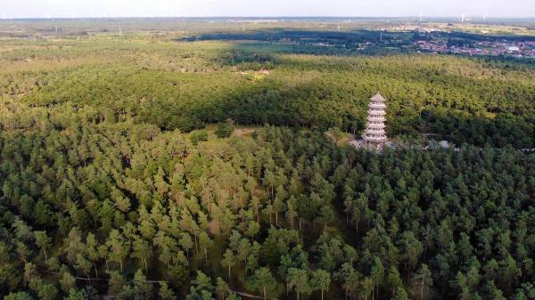 1750217919405173.jpg 6.jpg