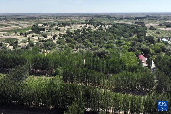 1750222010971299.jpg 10.jpg